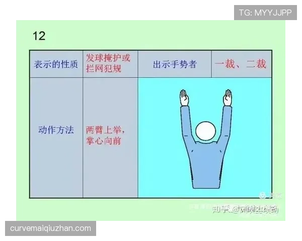 中断规则：裁判何时停止比赛及恢复判定条件